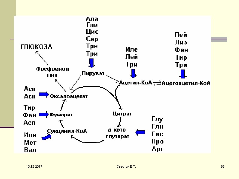 13.12.2017 63 Свергун В.Т.